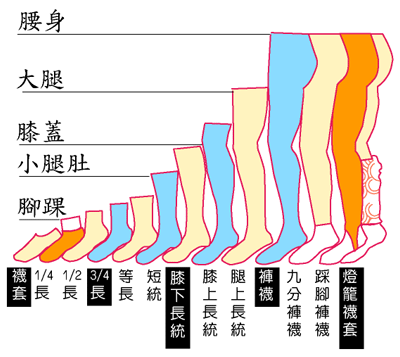 CATEGORIES OF HOSIERY